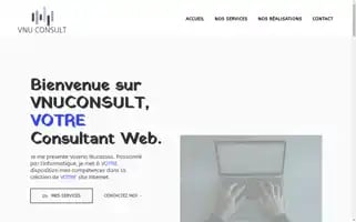 Vnuconsult.com Screenshot 2024-06-18 05:22:11