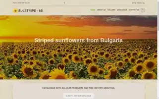 Stripedseed.com Screenshot 2024-04-25 05:37:05