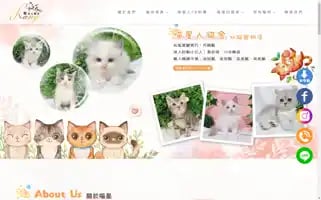 Meow800kkazh.com Screenshot 2024-07-10 04:43:30