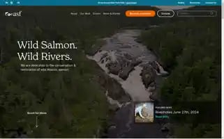 Asf.ca Screenshot 2024-06-30 03:56:35