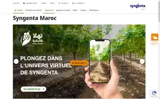 Syngenta.ma Screenshot 2024-07-09 03:53:20