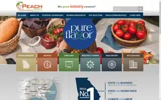 Peachcountydevelopment.com Screenshot 2024-07-06 00:44:38