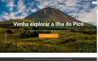 Picowinetours.com Screenshot 2024-04-22 10:56:41