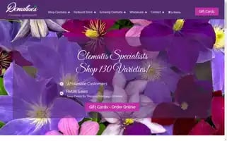 Donahuesclematis.com Screenshot 2024-05-09 11:14:08