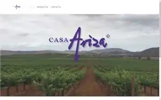 Casaariza.mx Screenshot 2024-07-01 15:39:09