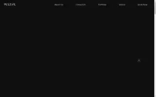 Skilzardigital.com Screenshot 2024-06-17 06:17:02