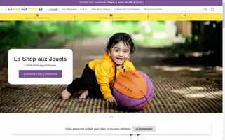 Lashopauxjouets.com Screenshot 2024-05-03 22:08:47