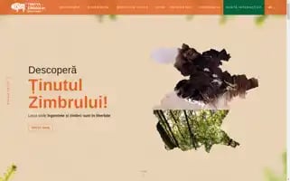 Tinutulzimbrului.ro Screenshot 2024-07-03 08:07:58