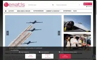 Tematis.com Screenshot 2024-06-15 12:28:28