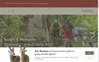 Visit-moesano.ch Screenshot 2024-07-03 15:01:54
