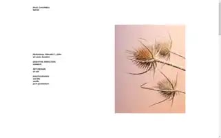 Paulcharmes.com Screenshot 2024-05-20 19:37:48