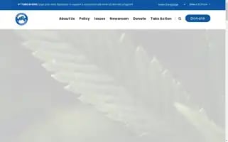 Mpp.org Screenshot 2024-05-15 07:03:31