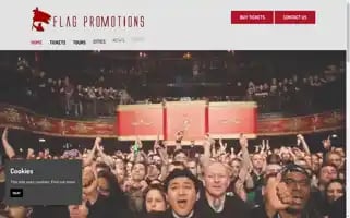 Flagpromotions.co.uk Screenshot 2024-05-09 17:53:21