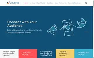 Visibility-seo.com Screenshot 2024-07-01 17:25:51