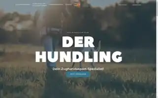 Derhundling-trainingszentrum.de Screenshot 2024-05-21 22:14:59