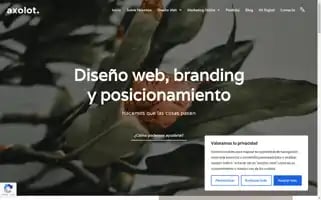 Axolotagencia.com Screenshot 2024-07-04 08:28:52