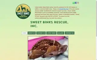 Sweetbinks.org Screenshot 2024-07-06 03:20:16