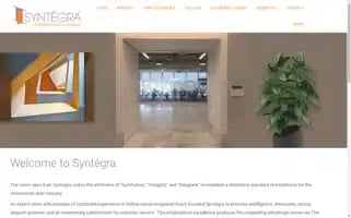 Syntegrausa.com Screenshot 2024-06-18 14:37:43