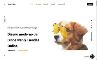 Smartwiin.com Screenshot 2024-05-19 23:46:42
