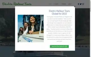 Electricharbourtours.com Screenshot 2024-04-19 07:56:36