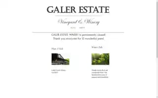 Galerestate.com Screenshot 2024-07-01 21:31:11