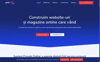 Proweb.digital Screenshot 2024-06-17 01:34:31