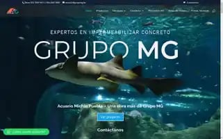 Grupomg.lat Screenshot 2024-05-19 10:34:06