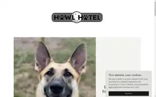 Howlhotel.com Screenshot 2024-04-15 19:51:30