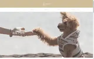 Shonancrystalhoteldoggy.com Screenshot 2024-04-14 11:25:05