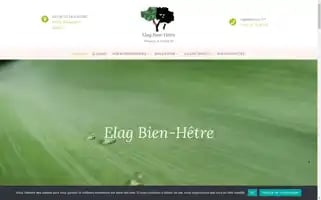 Elag-bien-hetre.com Screenshot 2024-05-26 01:14:18