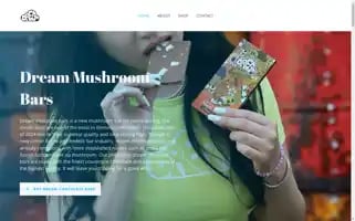 Dreammushroombars.com Screenshot 2024-06-28 08:21:38