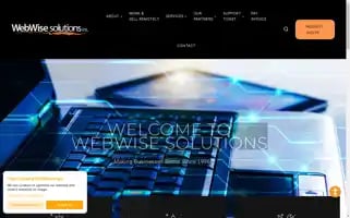 Thewebwisesolution.com Screenshot 2024-06-13 15:20:18