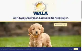 Wala-labradoodles.org Screenshot 2024-06-13 23:43:19