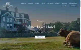 Balmerlawnhotel.com Screenshot 2024-04-26 21:57:34