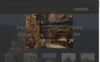O-christmas-tree.com Screenshot 2024-06-30 05:14:23