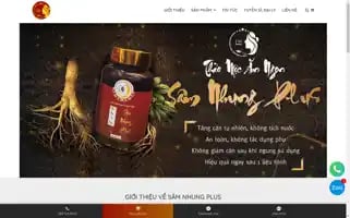 Samnhungplus.vn Screenshot 2024-06-25 07:34:58