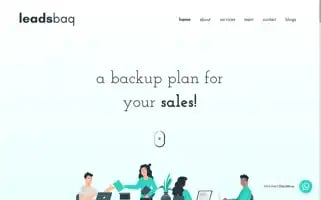 Leadsbaq.com Screenshot 2024-06-17 11:52:03