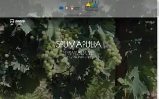 Spumapulia.it Screenshot 2024-05-25 12:44:10