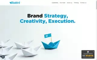 Bluebirdbranding.com Screenshot 2024-07-01 23:06:36