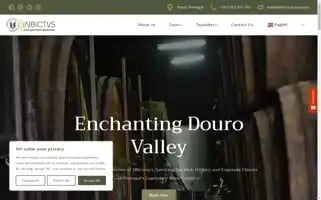 Inbictvstours.com Screenshot 2024-04-18 06:34:31