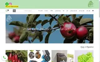 Nahalonline.com Screenshot 2024-05-23 23:17:28