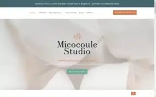 Micocoulestudio.fr Screenshot 2024-06-19 00:55:47