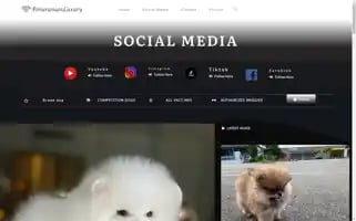 Pomeranianluxury.com Screenshot 2024-05-19 01:31:15