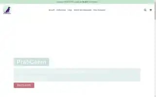 Praticanin.com Screenshot 2024-04-27 10:54:10