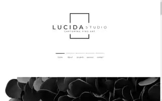 Lucidastudio.com.au Screenshot 2024-06-18 16:07:44