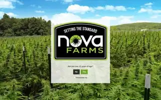 Novafarms.com Screenshot 2024-07-06 22:45:17