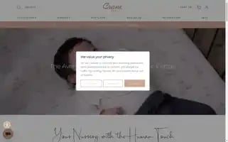 Crane-baby.com Screenshot 2024-07-06 18:24:07