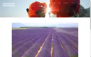Echo-provencetour.com Screenshot 2024-04-25 13:12:08