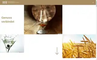 Spirituosen-verband.de Screenshot 2024-07-09 07:30:49