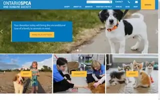 Ontariospca.ca Screenshot 2024-07-04 07:49:46